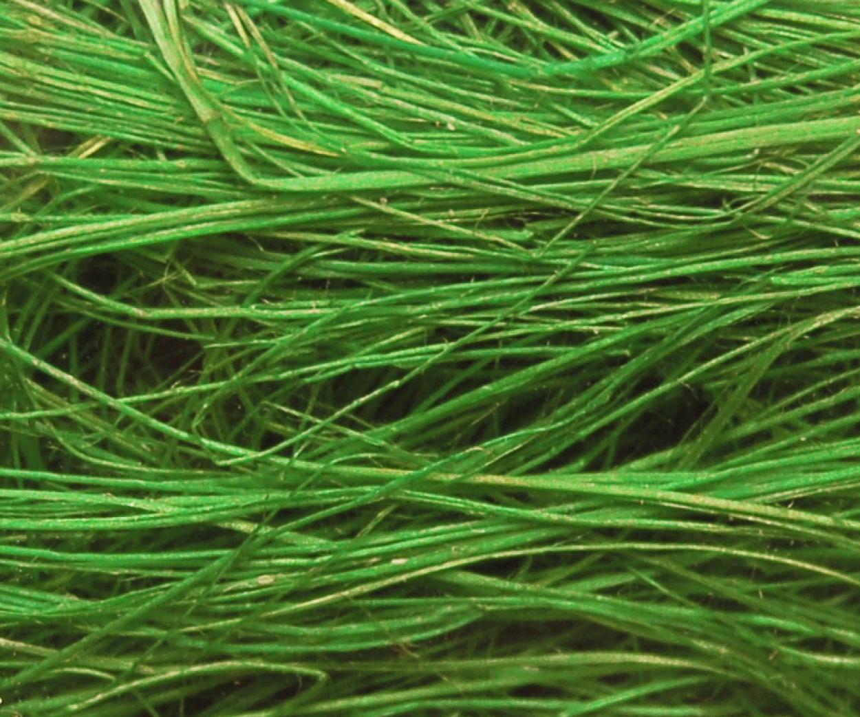 FIBRA TESSILE SISAL COLORE VERDE MUSCHIO 200 GR – 1 PZ SEC047-5 0035