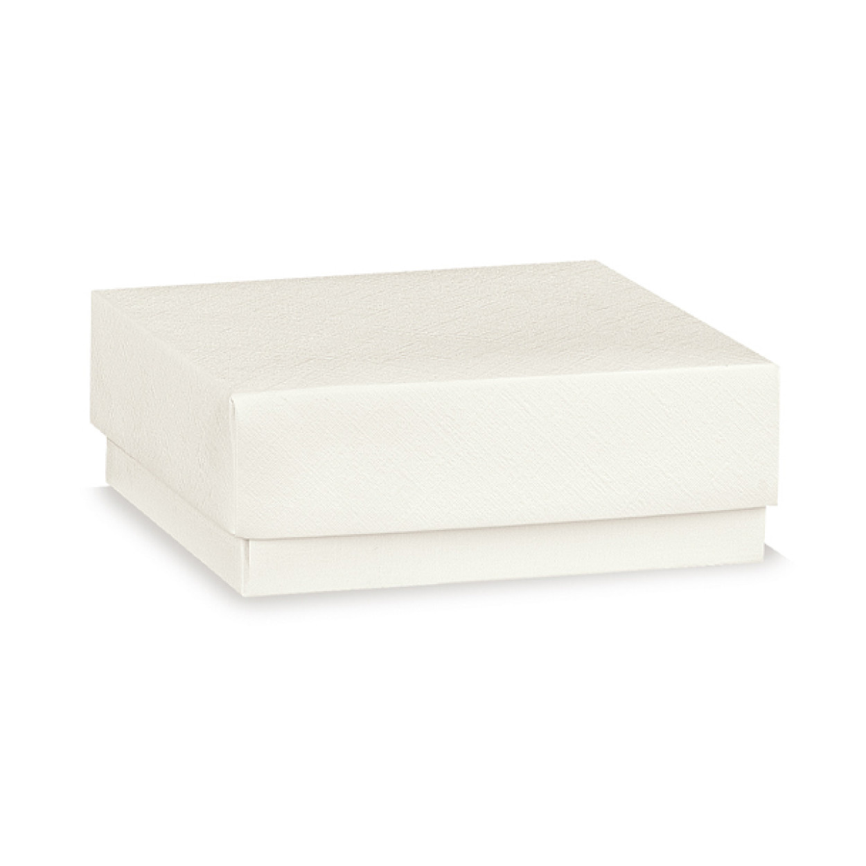 FONDO E COPERCHIO FIBRA BIANCO 300X230X110 119401C