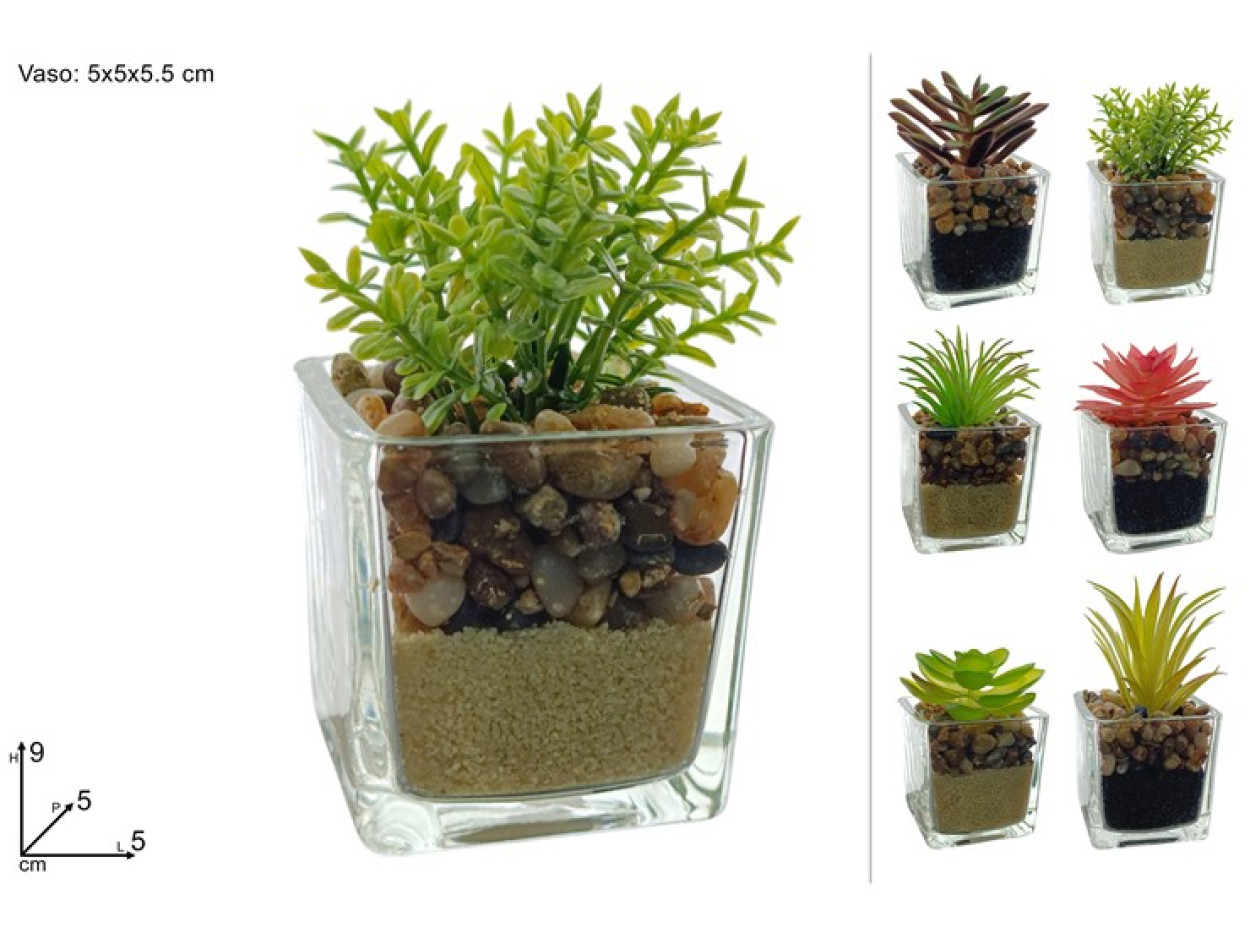 PIANTA GRASSA CON VASETTO IN VETRO 5X5CM 689264