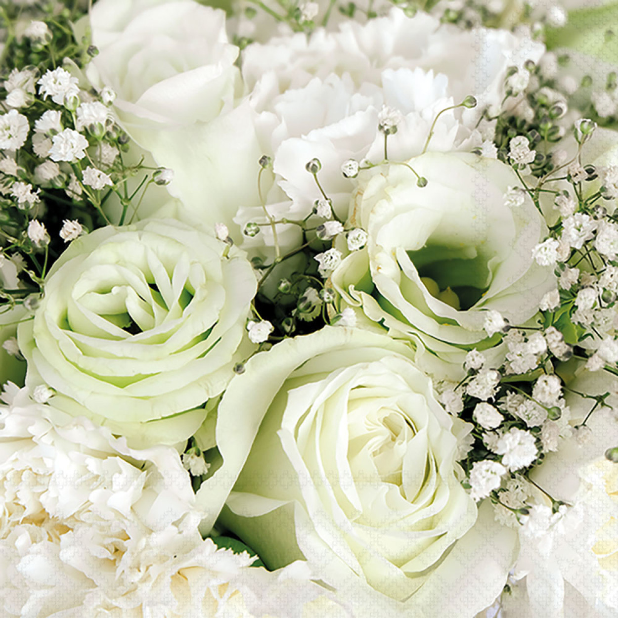 TOVAGLIOLI 33X33 ROSES BOUQUET 13316180