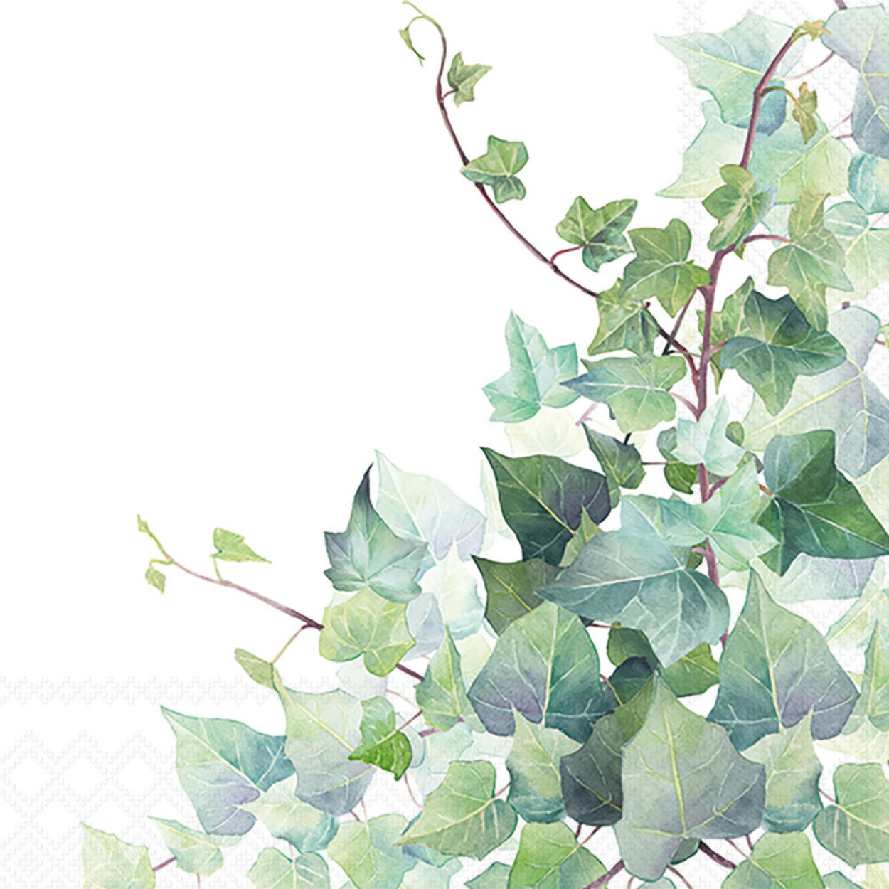 TOVAGLIOLI 33X33 HEDERA WHITE 13317025
