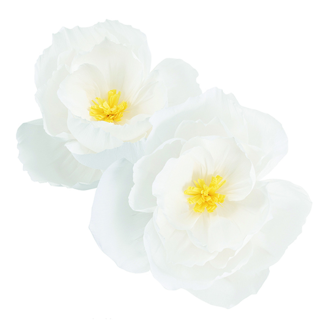 2 FIORI IN CARTA BIANCO 40-50 CM 40762