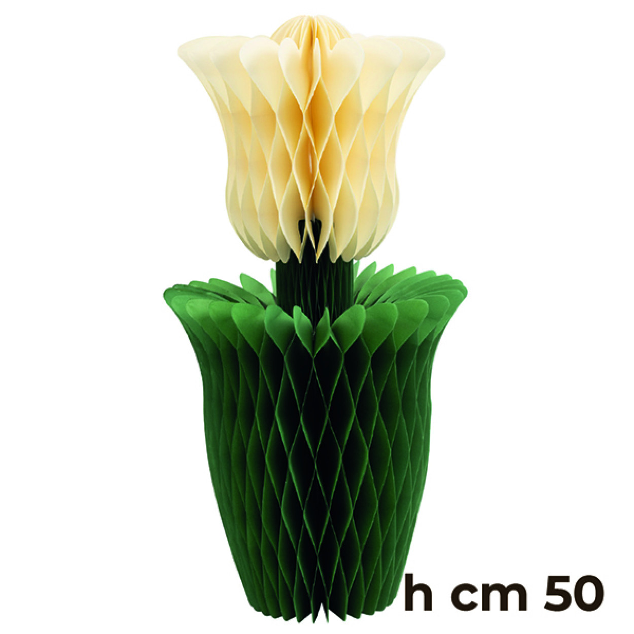 TULIPANO AVORIO 50 CM 40712