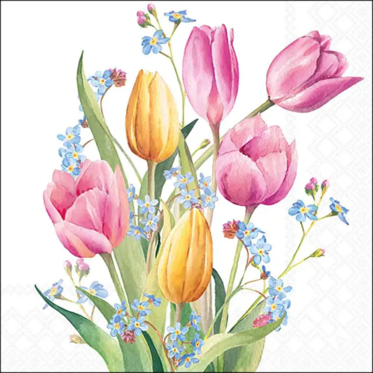 TOVAGLIOLI 33X33 TULIP BOUQUET 13317030