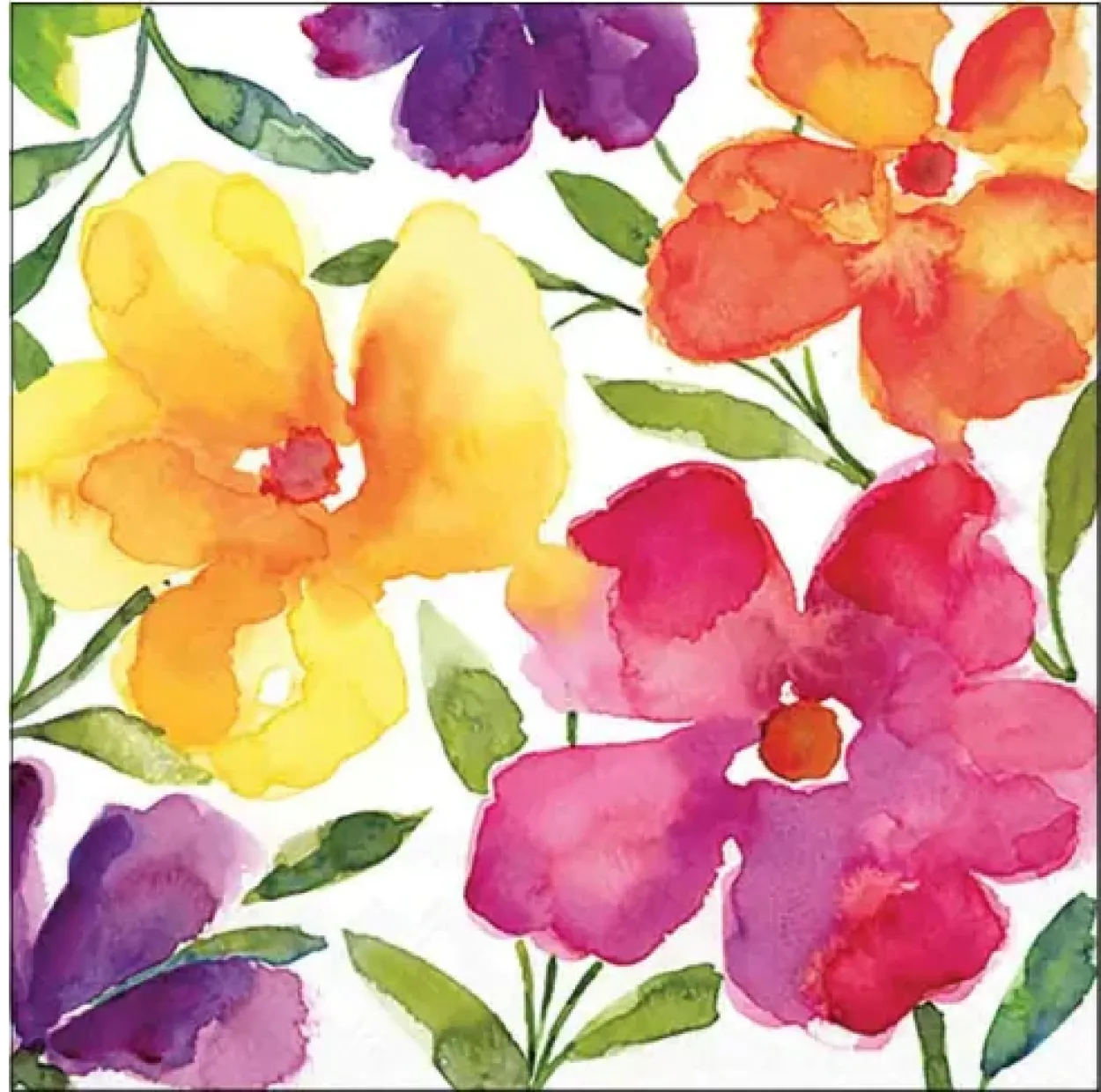TOVAGLIOLI 25X25 HAPPY BLOOMERS 12519395