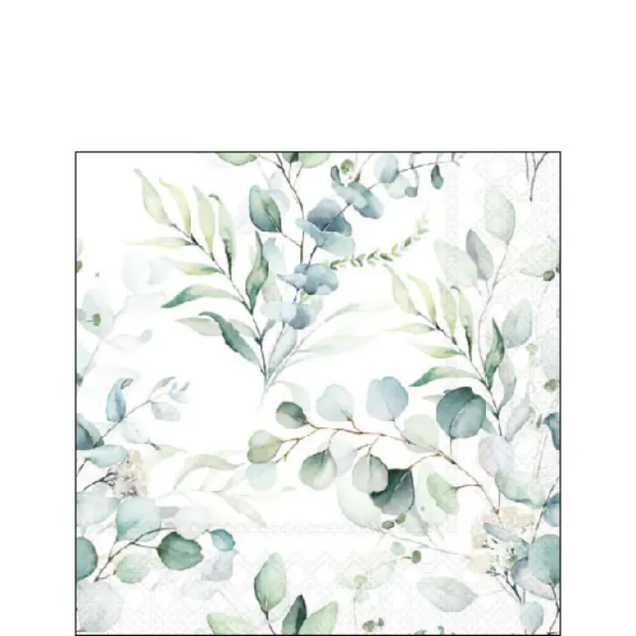 TOVAGLIOLI 25X25 EUCALIPTUS 12517165
