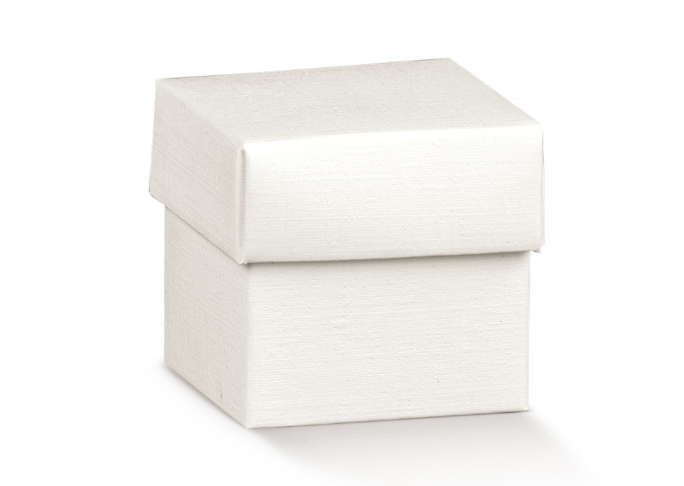 10 FONDO E COPERCHIO 50X50X50 FIBRA BIANCO 118989C