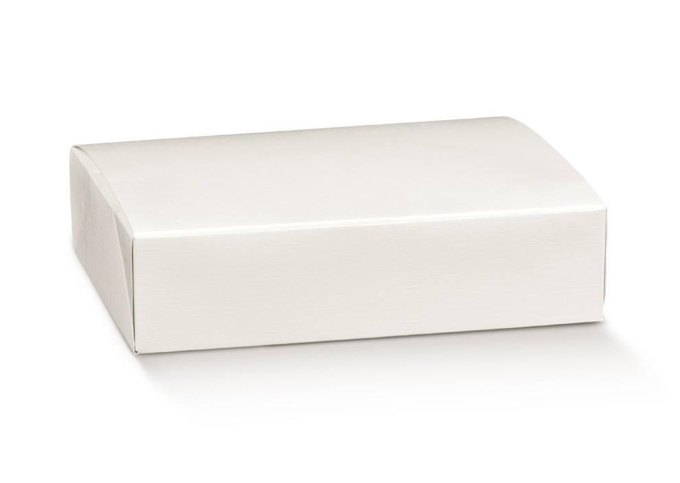10 BOITE ON 300X240X50 FIBRA BIANCA 118954C
