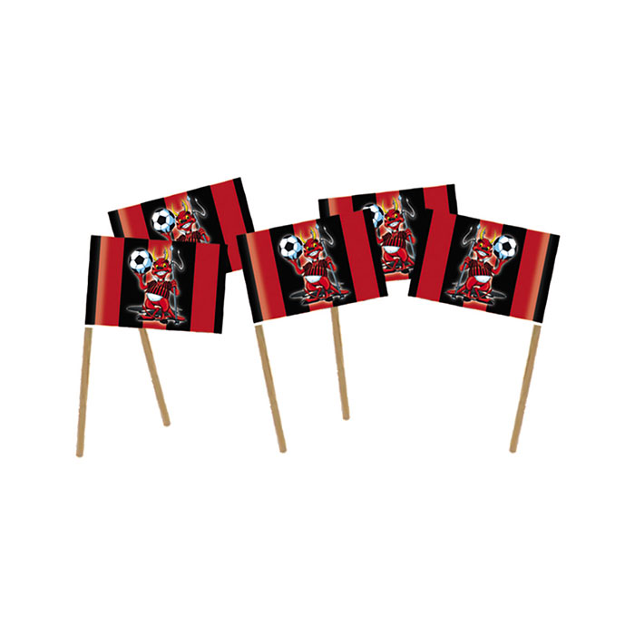 50 PICKS ROSSO NERO 13299